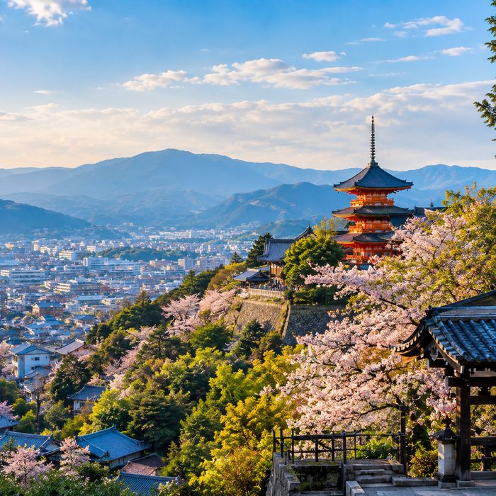 Kyoto's hills with a pagoda and cherry blossoms on approach